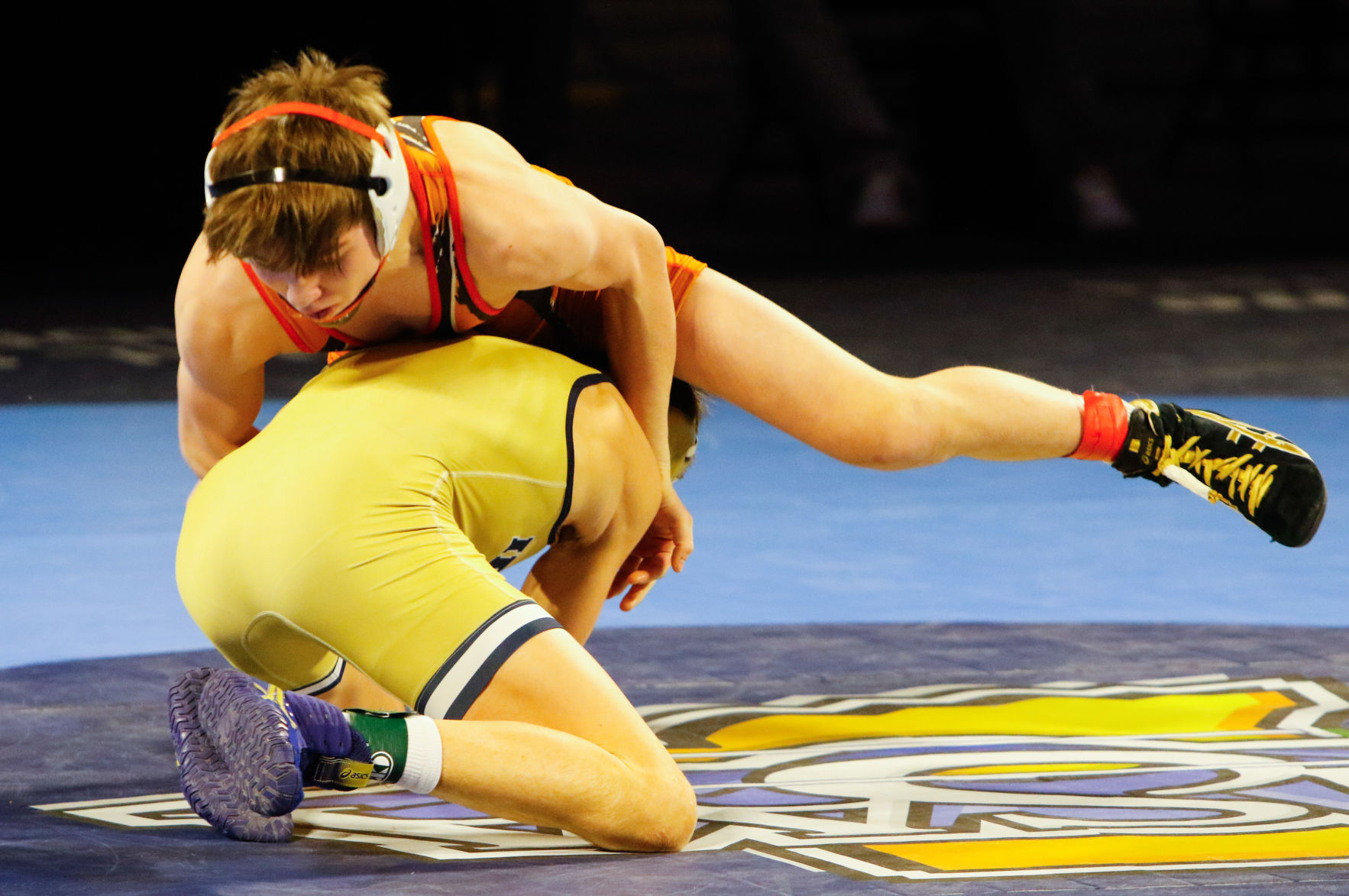 Gallery: Wrestling state finals